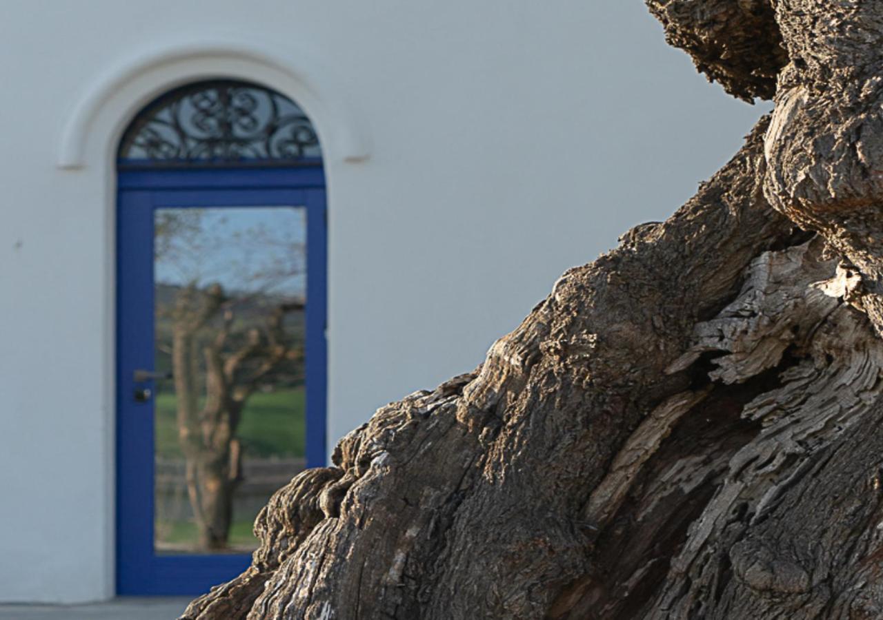 Albergo Rurale Casa Fois Valledoria  Dış mekan fotoğraf